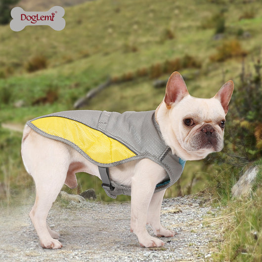 Ropa Refrigerante para Perros - Protección contra el Calor - Image 7