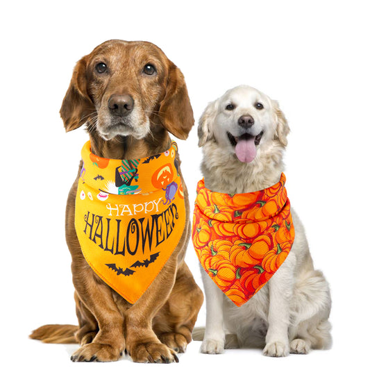 Toalla Absorbente para Mascotas Halloween