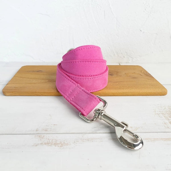 Correa y Collar para Perro Ajustable