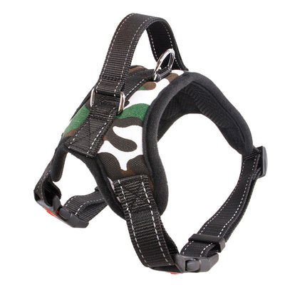 Collar para Perro Mediano y Grande de Calidad Premium - Image 10