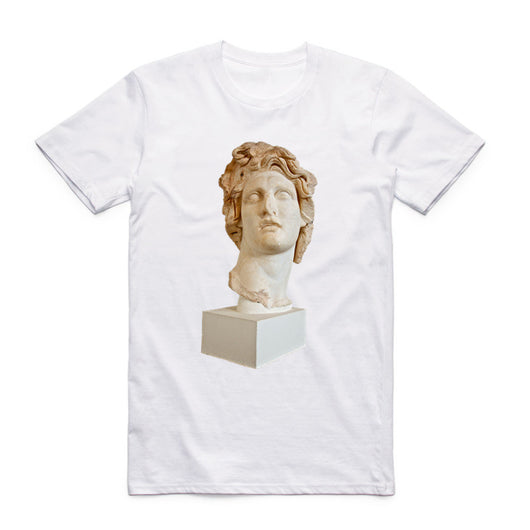Playera David estampado divertido talla grande cuello redondo manga corta - Image 11