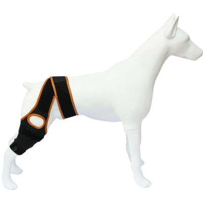Refuerzo de Rodilla para Perros - Soporte para Patas Traseras - Image 10
