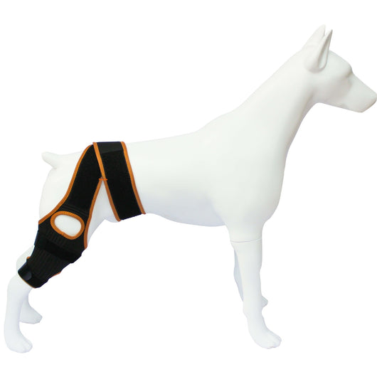 Refuerzo de Rodilla para Perros - Soporte para Patas Traseras - Image 10