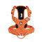 Orange XS