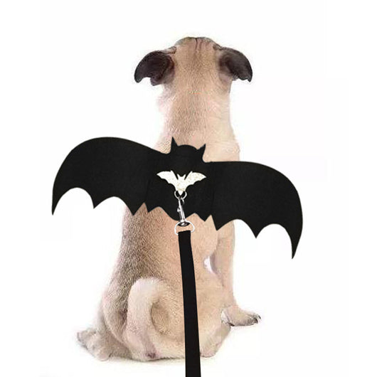 Disfraz de Murciélago para Perros - Alas Ajustables - Image 9