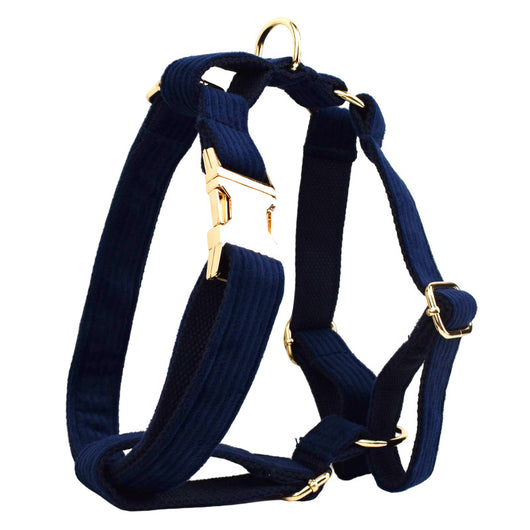 Collar y Correa para Perro en Pana Azul Marino - Cuerda de Sujeción para Exterior - Image 9