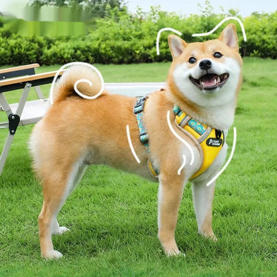 Arnés Chaleco para Perros Pequeños y Medianos con Correa de Paseo