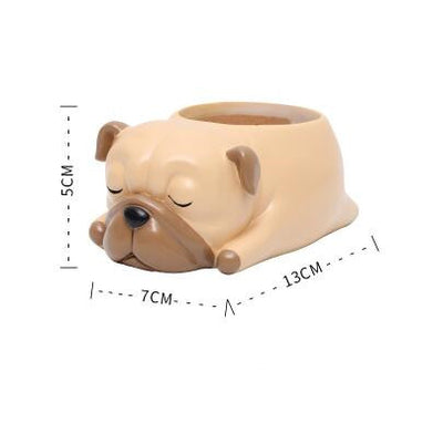 Maceta Decorativa Mascota Durmiente con Suculenta - Image 10