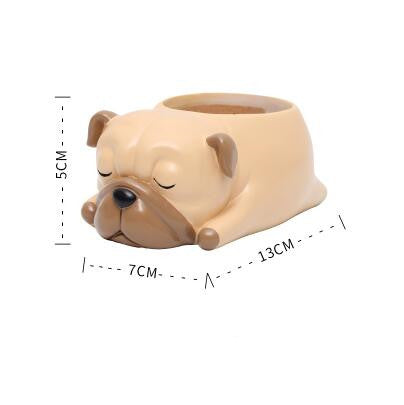Maceta Decorativa Mascota Durmiente con Suculenta - Image 10