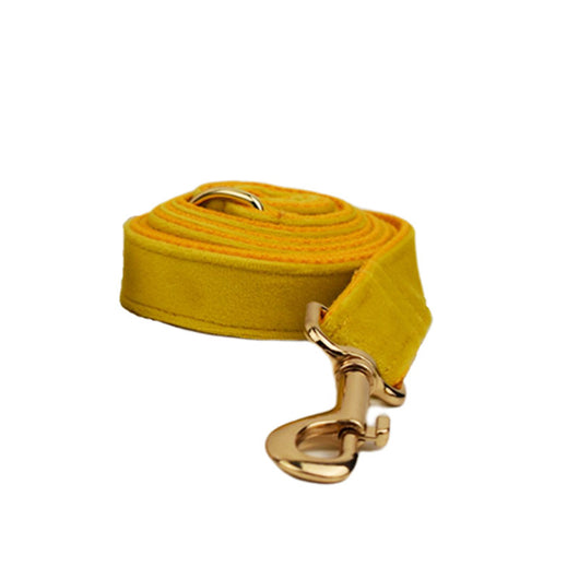 Collar para Perro de Terciopelo Suave - Image 3
