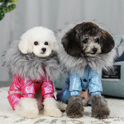 Abrigo Acolchado de Plumas para Perros - Ropa de Invierno