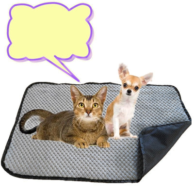 Pañales Absorbentes para Perros - Protección Confiable - Image 4