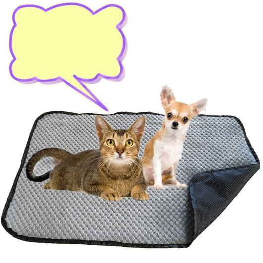 Pañales Absorbentes para Perros - Protección Confiable - Image 4