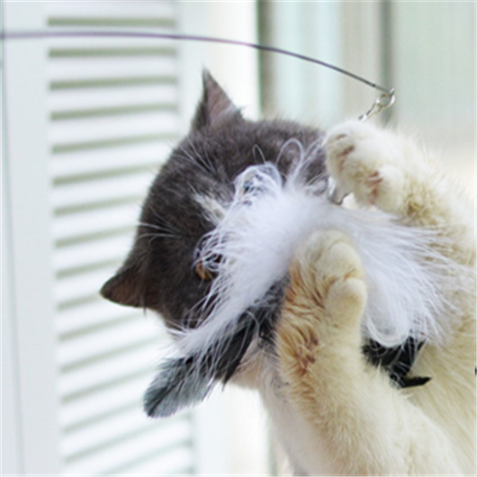 Varita Interactiva para Gatos - Juguete Divertido con Cuerda - Image 6