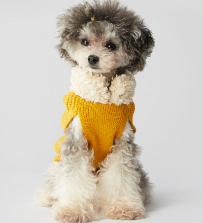 Ropa Abrigada con Moño para Perros y Gatos - Otoño e Invierno - Image 3