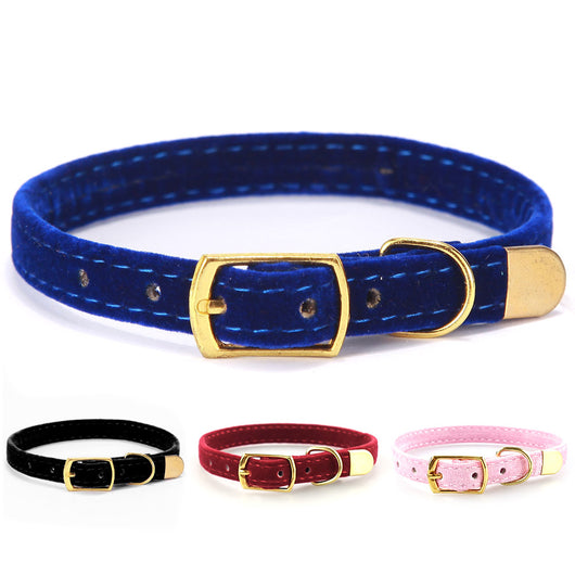 Collar para Gato Premium