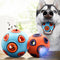 Pelota Interactiva Luminosa para Perros
