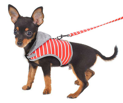 Chaleco arnés para gato con capucha para paseos - Image 7
