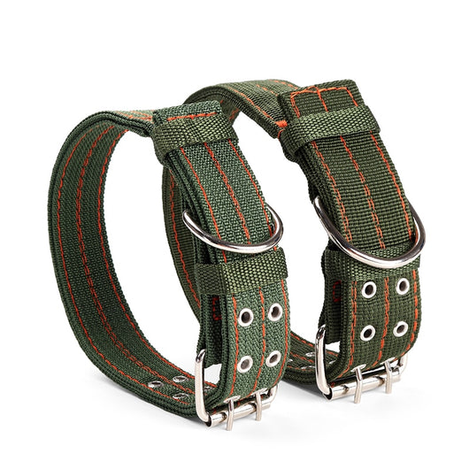 Collar para Perro