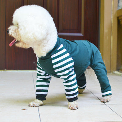 Ropa para Perros Estilo Osito de Cuatro Patas
