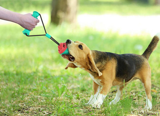 Teal and red pet pull rope toy with a textured molar stick and a spiky ball for training and chewing. - Image 4