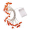 Warm Blanco 1.5 M 10LEDS
