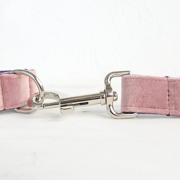 Correa para Perro con Anillo Ajustable de Cordón