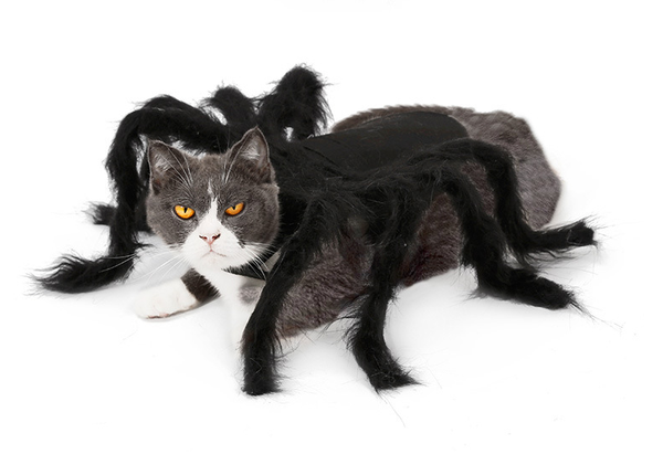 Disfraz de Araña Terrorífica para Mascotas - Traje Interactivo para Perros y Gatos
