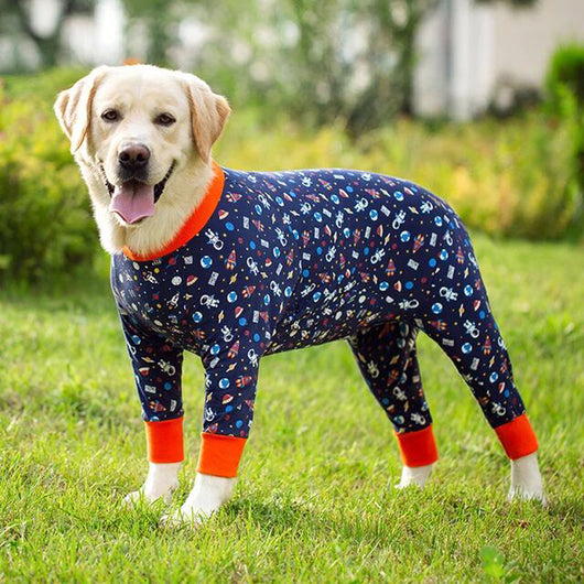 Traje de Protección Articular para Perros Labrador Medianos y Grandes - Removedor de Pelo