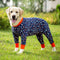 Traje de Protección Articular para Perros Labrador Medianos y Grandes - Removedor de Pelo