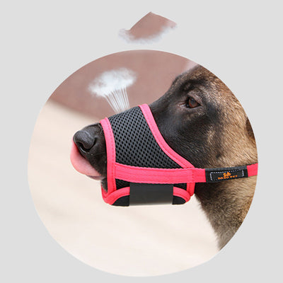 Bozal Suave para Perros - Previene Mordidas, Ladridos y Comportamientos Destructivos - Image 3