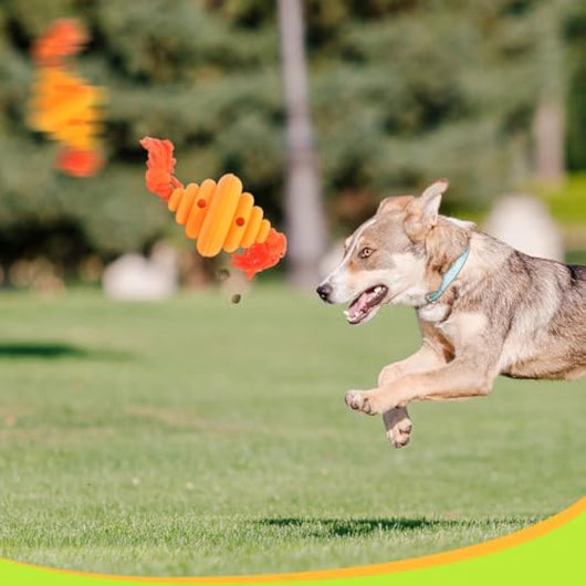 Juguete para Perros con Cuerda y Dispensador de Comida - Image 6