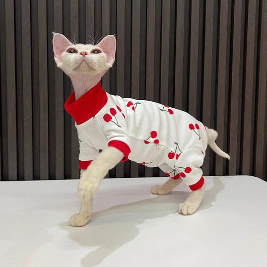 Ropa Térmica para Gatos Sin Pelo - Conjunto Completo Antiestático - Image 6