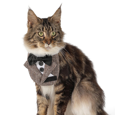 Traje de Mascota Elegante para Bodas con Diseño Triangular - Image 5