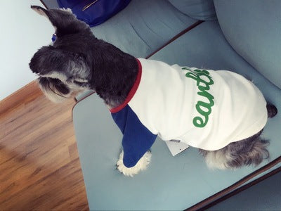 Suéter para Perro con Bordado de Letras y Diseño Fashion - Image 5
