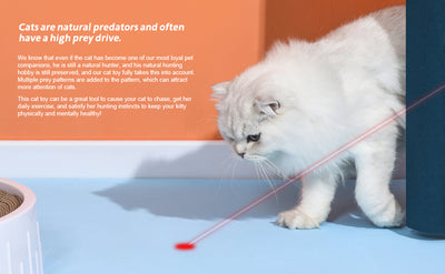 Juguete Interactivo para Gatos con Puntero LED y Varita - Entretenimiento para Gatos y Perros - Image 7
