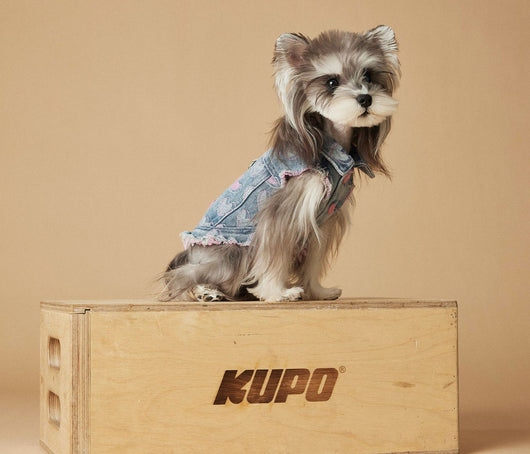 Chaleco Denim sin Mangas para Perros - Diseño Desgastado Love - Image 30