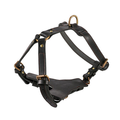 Arnés de Pecho con Cuerda Automática para Perros - Set Completo de Tracción - Image 3