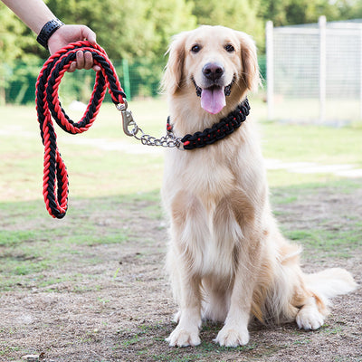 Collares y Correas para Perros de Nylon Reforzado - Entrenamiento y Paseos - Image 10