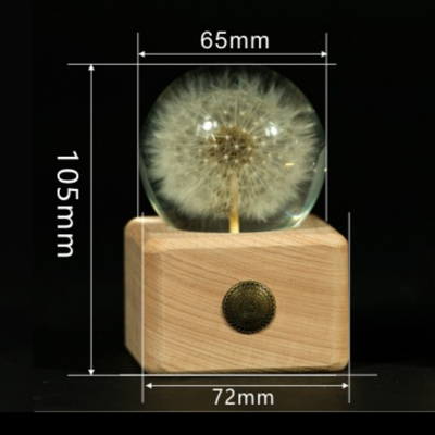 Caja de Música con Flores Preservadas y Bola de Cristal - Image 7