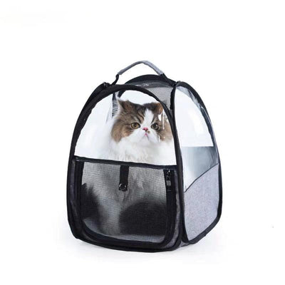 Transportín Transparente Plegable para Gatos - Portátil y Ligero - Image 8