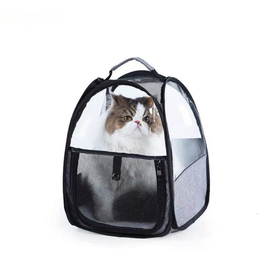 Transportín Transparente Plegable para Gatos - Portátil y Ligero - Image 8