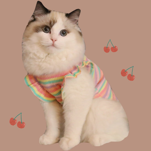 Disfraz Fresco para Perros y Gatos - Algodón Transpirable Talla Pequeña - Image 11