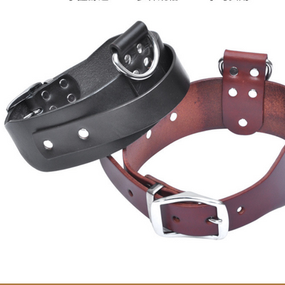 Collar Ajustable para Perros Medianos y Grandes - Image 5