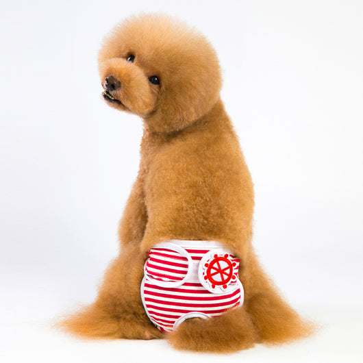 Pantalones Menstruales Absorbentes - Image 14