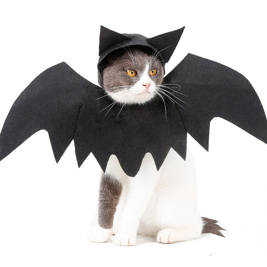 Alas de Murciélago para Mascotas