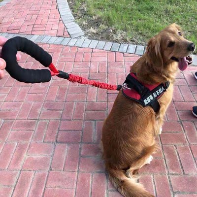 Correa Retráctil Antiexplosión para Perros Okinawa Elástica - Image 2