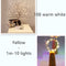 Juego 1 M 10 Luces