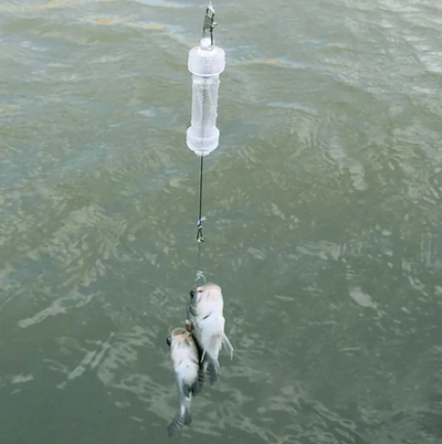 Anzuelo Automático de Pesca - Image 8