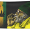 Tapiz Decorativo con Hoja de Cannabis Style Grass